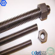 Fastener Steel Zinc Plated High Tensile Threaded Rod with Nut